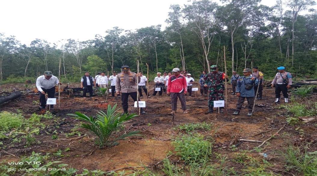 PENANAMAN JAGUNG SERENTAK 1 JUTA HEKTAR DALAM MENDUKUNG SWASEMBADA PANGAN TAHUN 2025
